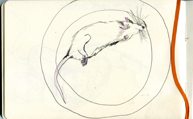 mouse on platesml copy